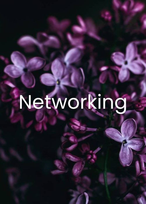 networking