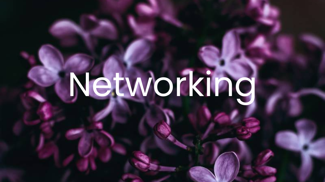 networking