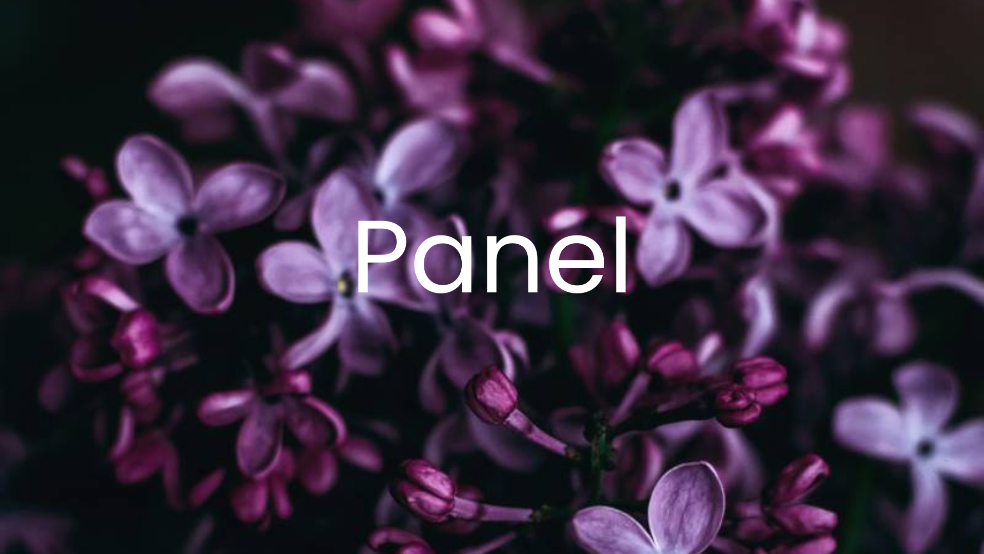 panel event